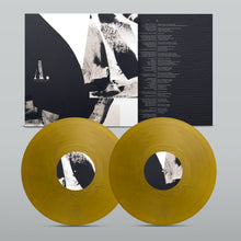 Load image into Gallery viewer, AS THE MOON RESTS (double vinyl)