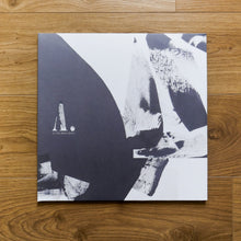 Load image into Gallery viewer, AS THE MOON RESTS (double vinyl)