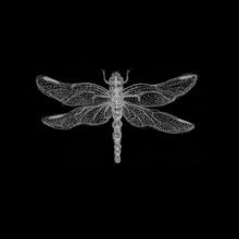 Load image into Gallery viewer, DRAGONFLY T-Shirt
